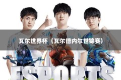 瓦尔世界杯（瓦尔德内尔世锦赛）