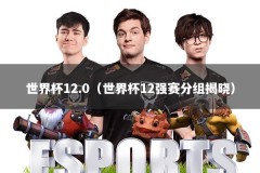 世界杯12.0（世界杯12强赛分组揭晓）