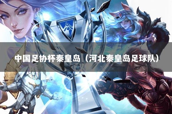 中国足协杯秦皇岛(河北秦皇岛足球队)